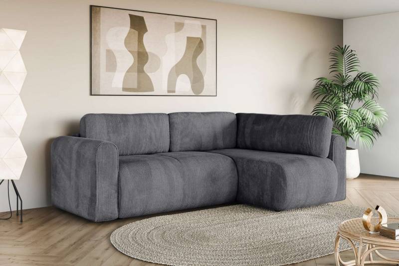 INOSIGN Ecksofa Zacharia wahlweise Schlafsofa mit Bettkasten, B/T/H 250/166/86 cm, L-Form mit Wellenunterfederung, Ottomane rechts oder links bestellbar von INOSIGN