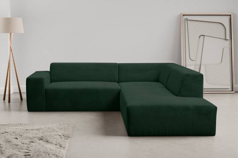 WERK2 Ecksofa Zeus-M, tolles Sofa mit schönen Details, L-Form, Curvy Trend Garnitur, urbane Optik, komfortable Wellenunterfederung WERK2 Ecksofa Zeus-M, tolles Sofa mit schönen Details, L-Form, Curvy Trend Garnitur, urbane Optik, komfortable Wellenunterfederung von WERK2