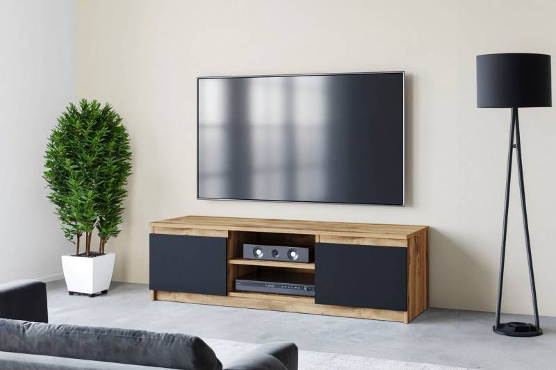 INOSIGN Lowboard DINGO, zeitloser TV-Schrank, TV-Board Breite 120 cm, grifflose Fernsehschrank von INOSIGN
