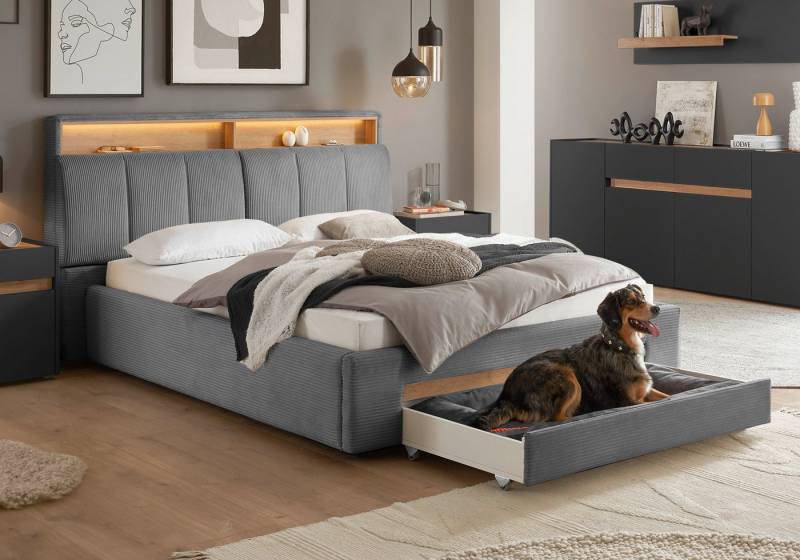 INOSIGN Polsterbett CiTY/GiRON, gepolstertes Stauraumbett, mit LED Beleuchtung, Bettkasten mit Hundebett oder als Stauraum, klappbare Kopfteile von INOSIGN