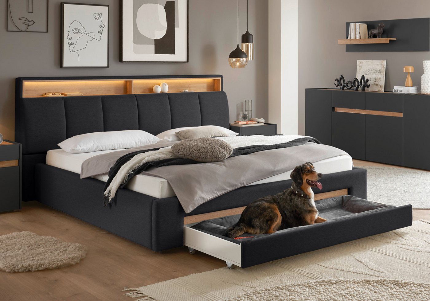 INOSIGN Polsterbett CiTY/GiRON, gepolstertes Stauraumbett, mit LED Beleuchtung, Bettkasten mit Hundebett oder als Stauraum, klappbare Kopfteile INOSIGN Polsterbett CiTY/GiRON, gepolstertes Stauraumbett, mit LED Beleuchtung, Bettkasten mit Hundebett oder als Stauraum, klappbare Kopfteile von INOSIGN