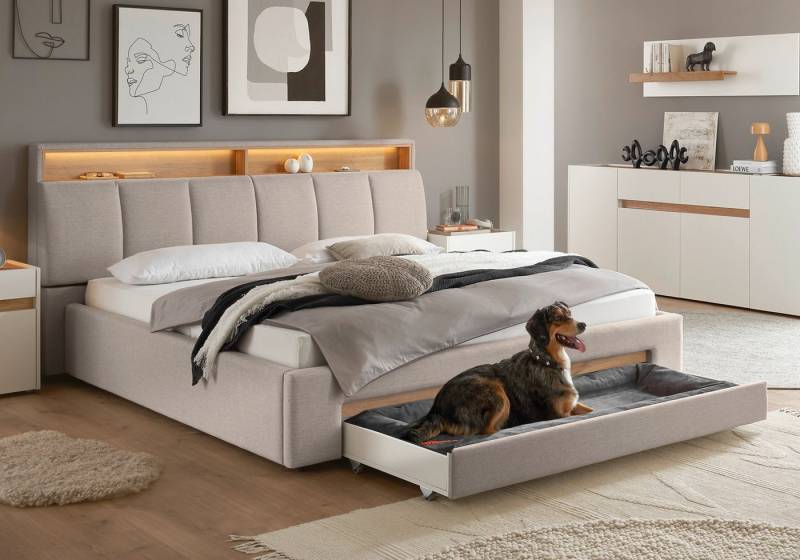 INOSIGN Polsterbett CiTY/GiRON, gepolstertes Stauraumbett, mit LED Beleuchtung, Bettkasten mit Hundebett oder als Stauraum, klappbare Kopfteile von INOSIGN
