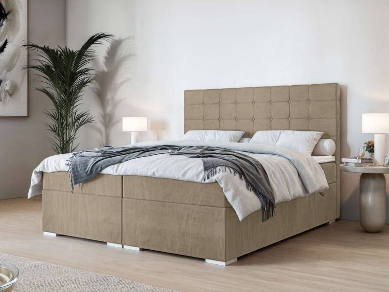 INOSIGN Polsterbett Semla mit Matratze und Topper, in 3 Breiten (140, 160 und 180 cm), Boxspringbett mit Kopfteil, Bettkasten, Matratze (BFK/TFK) und Topper von INOSIGN
