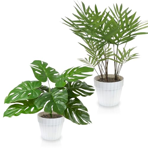 INSANYJ 2er Set Kunstpflanze, Künstliche Pflanzen wie echt in weißen Blumentopf, Monstera und Areca Kunstpalme (25cm) Fake Plant für Deko Wohnzimmer, Deko Schlafzimmer, Badezimmer Deko, Tischdeko von INSANYJ