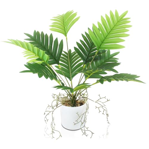 INSANYJ Künstliche Pflanzen, Areca Palmen Plastik Pflanze Deko, Kunstpflanzen Wie Echt Geeignet für Balkon, Wohnzimmer, Schlafzimmer Zimmer Tischdeko INSANYJ Künstliche Pflanzen, Areca Palmen Plastik Pflanze Deko, Kunstpflanzen Wie Echt Geeignet für Balkon, Wohnzimmer, Schlafzimmer Zimmer Tischdeko von INSANYJ