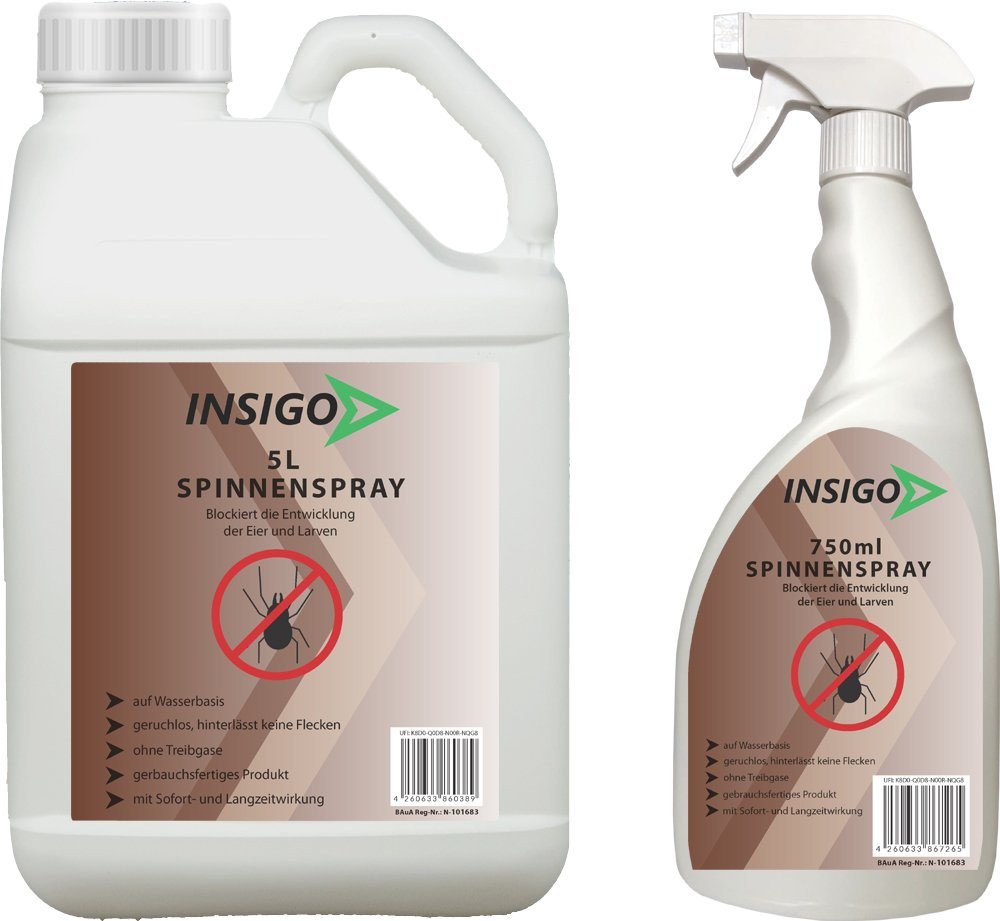 INSIGO Insektenspray Spinnen-Spray Hochwirksam gegen Spinnen, 5.75 l, auf Wasserbasis, geruchsarm, brennt / ätzt nicht, mit Langzeitwirkung von INSIGO