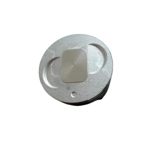 EX17 Kolbensatz 67 mm, kompatibel mit EX21 EP17 EK17 MK200 und mehr, 6.0 p 4T Motorringstiftklemme 20A-23401-03, universell(GENUINE PISTON KIT) von INSOGZRAF