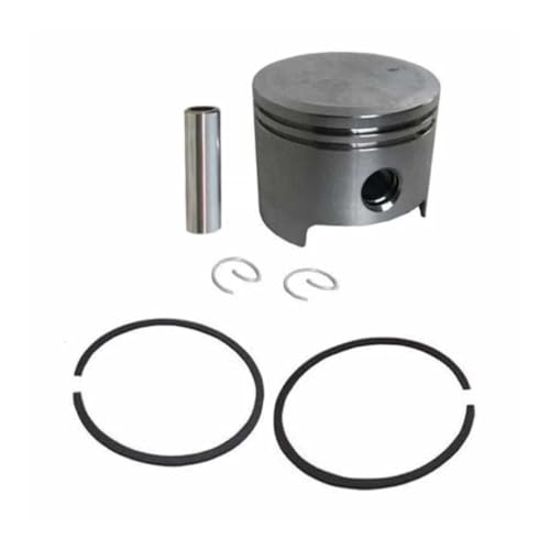 PB-770 KOLBENSATZ 48MM P021-002984 Kompatibel mit PB-760 PB755 750 751 650 651 EB770 EB633 Zylinderringstift-Klemmbaugruppe Universal(Aftermarket Kit) von INSOGZRAF