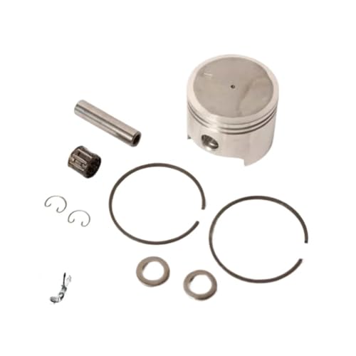 PB-770 KOLBENSATZ 48MM P021-002984 Kompatibel mit PB-760 PB755 750 751 650 651 EB770 EB633 Zylinderringstift-Klemmbaugruppe Universal(Original Piston Kit) von INSOGZRAF
