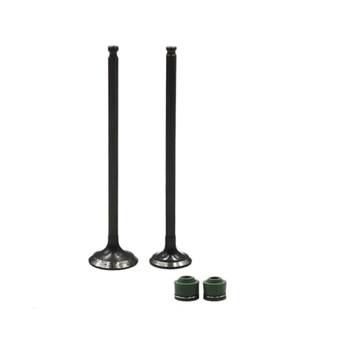 Universal 1 Paar Motorrad-Motorteile Ansaug- und Ventilschäfte für GSX250 72A GSX250F 913 1991-1997 von INSOGZRAF