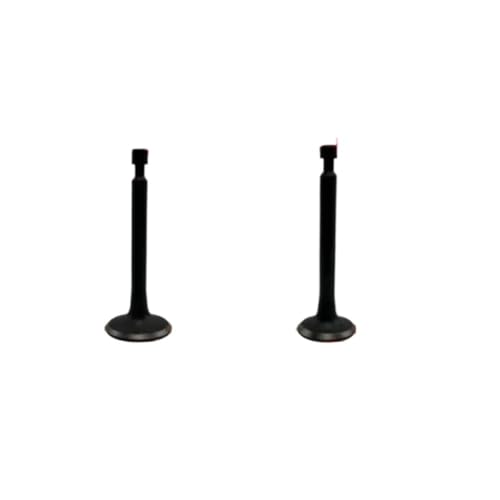 Universal 10 Stück 152F 154F 168F 170F 177F 188F 190F 192F Einlass-und Auslassventile for mit GX160(152F 154F) von INSOGZRAF