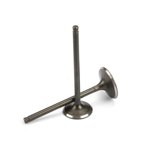 Universal 2 Stück Motorrad Motorzubehör Ansaug- und Ventilschäfte für mit TNT125 TNT135 BJ125-3E TNT 125 135 Universal 2 Stück Motorrad Motorzubehör Ansaug- und Ventilschäfte für mit TNT125 TNT135 BJ125-3E TNT 125 135 von INSOGZRAF