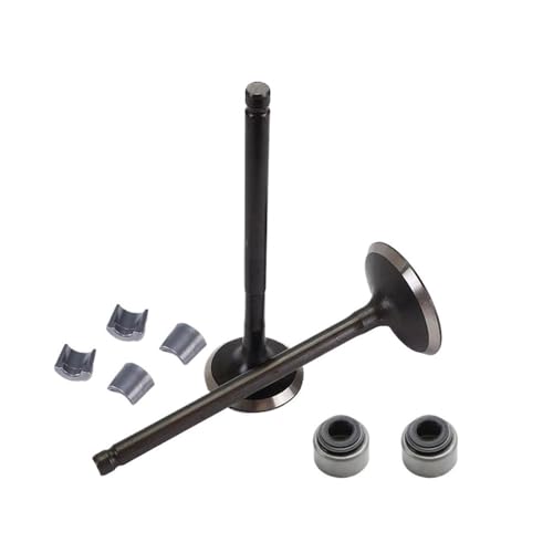 Universal 250cc Motorrad Motor Auslassventil Einlassventil Kit Öldichtung for Mit CB250-F CB250F CPS250 RBT250 CB300 von INSOGZRAF