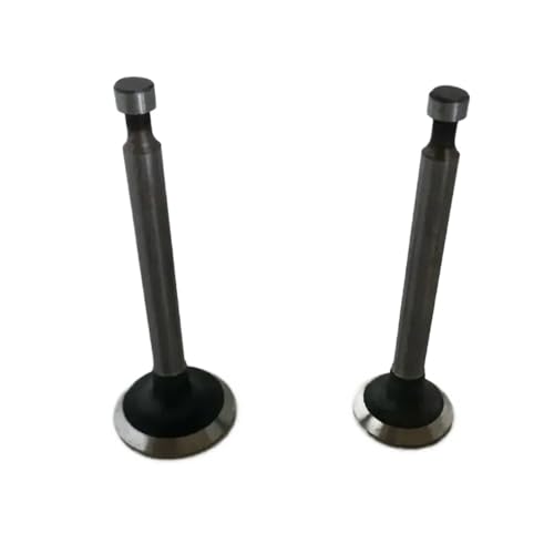 Universal Intake And Valve Group For With GX390 188F GX420 190F 192F 390CC 420CC 13HP 16HP(188F GX390 Type A) von INSOGZRAF