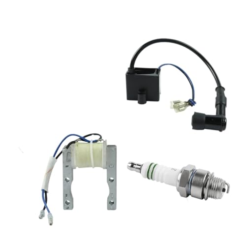 Universal-Magneto-Stator-Zündspulenstecker-Kit, kompatibel mit 49ccm 50ccm 60ccm 66ccm 80ccm Bike 49cc bis 80ccm von INSOGZRAF
