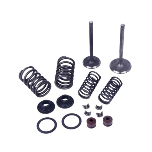 Universal Motor Einlass- Und Auslassventiltrieb Ventil Kit Mit Ventilfeder Montage Kit For Mit 152QMI 125cc GY6 von INSOGZRAF