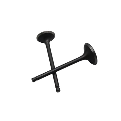 Universal Motor Ventil Auslassventil Einlassventil Dichtung For Mit 250cc Atv250 JS171MM 250cc Off-road(Valve only) von INSOGZRAF