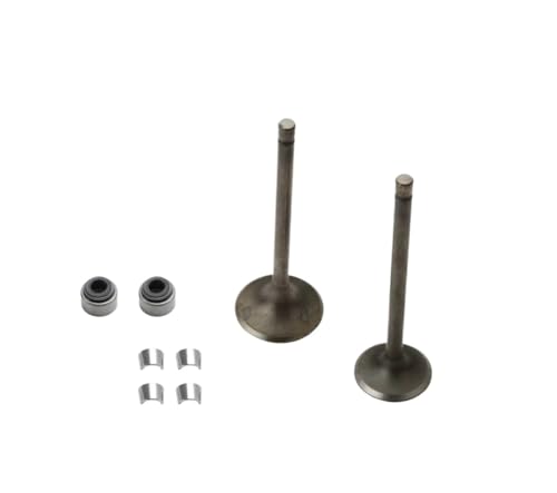 Universal Motorcycle Engine 2PC Intake And Valves For With FZS FZ16 Four-Stroke Engine von INSOGZRAF