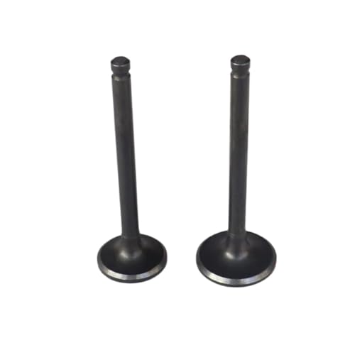 Universal Motorcycle Intake And Valve Set For With 110cc 125cc 140cc 150cc von INSOGZRAF