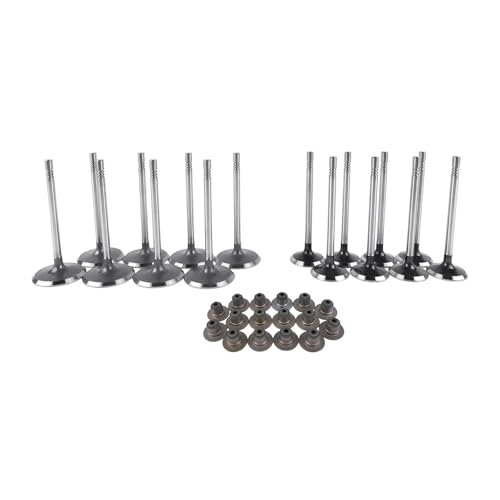 Universal Motorrad Ansaug- und Ventilsatz für die meisten Modelle Universal Motorrad Ansaug- und Ventilsatz für die meisten Modelle von INSOGZRAF