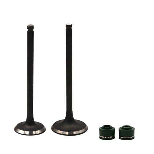 Universal Motorrad Einlass- Und Auslassventilschaft Mit Öldichtung for Mit TTR250 R250 250 1999-2006(1 Pair) von INSOGZRAF