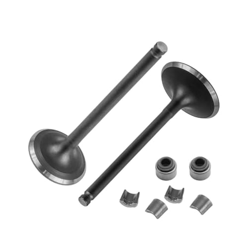 Universal Motorrad Motor Auslassventil Einlassventil Stem Kit Öldichtung for Mit CB200 Cb 200 Universal Motorrad Motor Auslassventil Einlassventil Stem Kit Öldichtung for Mit CB200 Cb 200 von INSOGZRAF