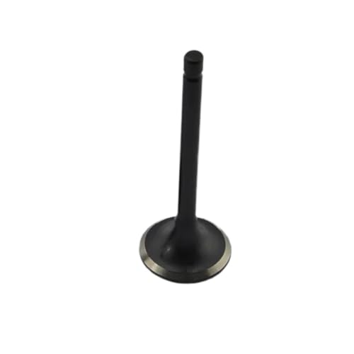 Universal Motorrad Motor Einlass-Und Auslassventile for Mit DR200 DR 200 200cc(1pc intake valve) von INSOGZRAF