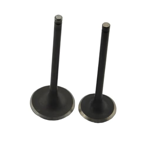 Universal Motorrad Motor Einlass-Und Auslassventile for Mit DR200 DR 200 200cc(One pair) von INSOGZRAF