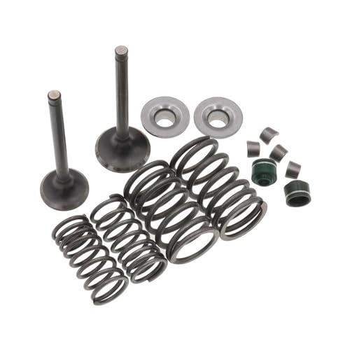 Universal Motorrad Motor Einlass und Auslass Stem Ventilführung Öldichtungssatz for mit 110cc horizontalen Motoren von INSOGZRAF