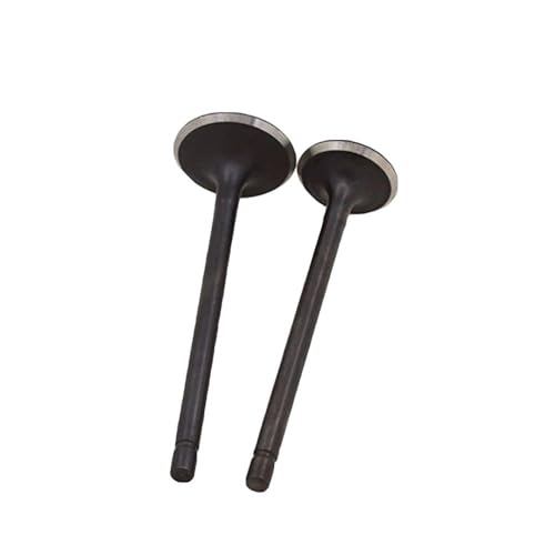 Universal Motorrad Motorventil Ansaugung und Vorbauten für CB250 CB 250 Offroad Motorrad Universal Motorrad Motorventil Ansaugung und Vorbauten für CB250 CB 250 Offroad Motorrad von INSOGZRAF