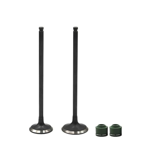 Universal Motorrad Motorzubehör Ansaug- und Ventilschäfte für CB400SF 1992-1998 NC31 NC36 CBR23 NC23 CBR29 von INSOGZRAF