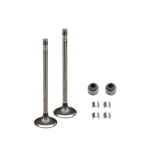 Universal Motorrad Zubehör Motor Auslassventil Ansaugkit Öldichtung for Mit BWS125 4C6 160- X125 B 25 Z 125 von INSOGZRAF