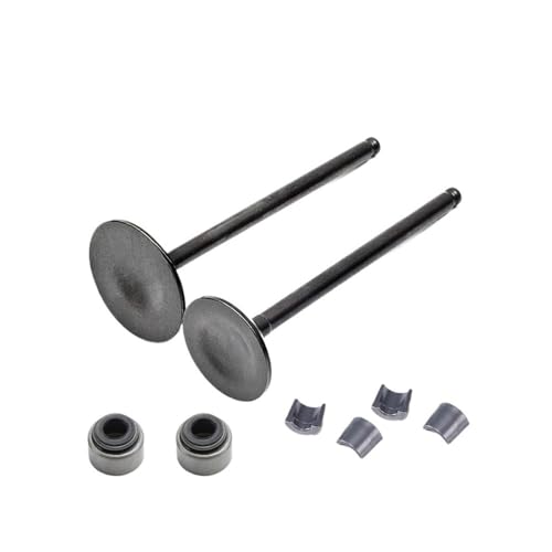 Universal Motorrad Zubehör Motor Auslassventil Einlassventil Stem Kit Öldichtung for Mit 125 CH 125 125cc von INSOGZRAF