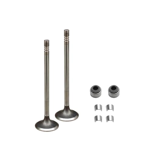 Universal Motorrad Zubehör Motorventil Ansaugventil Vorbau Kit Öldichtung für YZF-R15 V1.0 V2.0 LC135 von INSOGZRAF