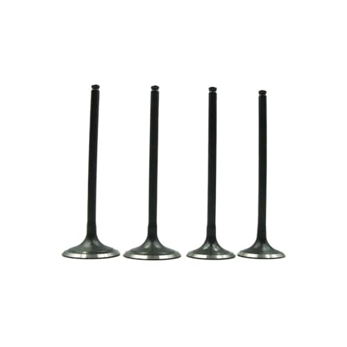 Universal-Motorradzubehör Einlass- und Auslassventilschaft-Kit for DR250 Z 250 BX250 250SL KLX250 KLX300(Full Set) von INSOGZRAF