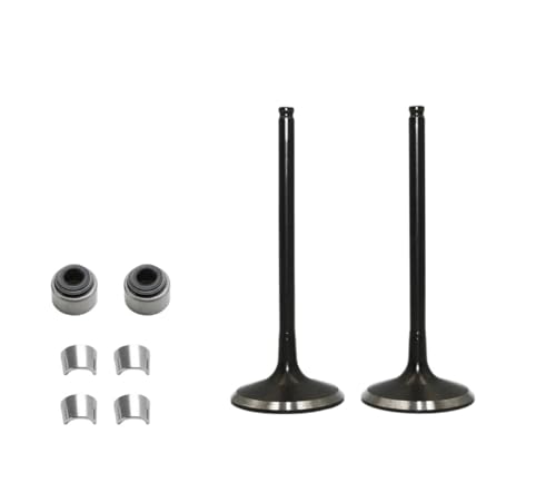 Universal-Motorradzubehör Motorauslassventil Einlassventilschaft-Kit Öldichtung for mit TG260 Offroad-Motorradmotor-Ersatzteile von INSOGZRAF