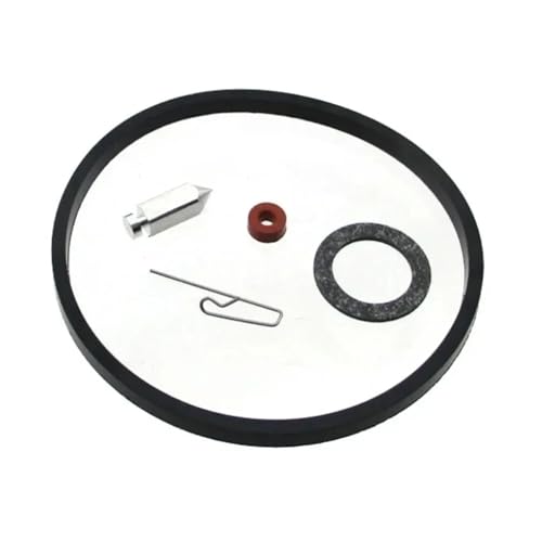 Universal-Reparatursatz for Vergasernadelschüsseldichtung, kompatibel mit T 631021 631021A 631021B V40 V50 V60 VM80 H30 VM100 HH von INSOGZRAF