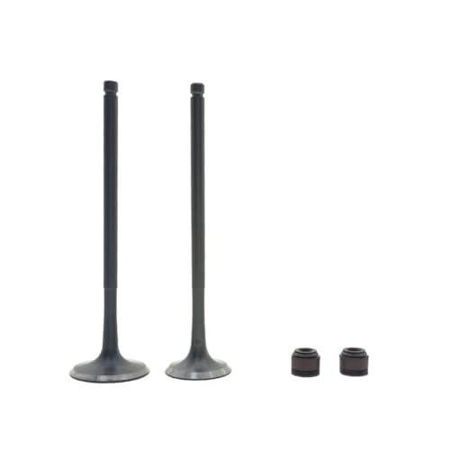 Universal Ventil Einlass Und Auslass Ventilschaft Öldichtung for Mit NC250 NC 250cc ZS177MM T6 J5 RX3 ZS250GY-3(Valve 1 Pair) von INSOGZRAF