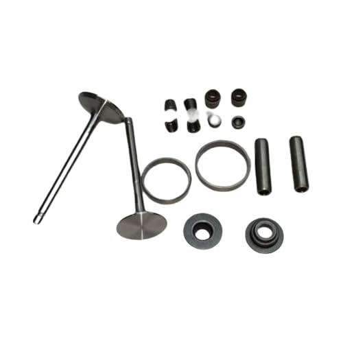 Universal-Ventilführungsfederhalter Ölstangendichtung (16 Stück) for 186F 186FA 9 PS Windmotor von INSOGZRAF