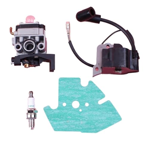 Universal-Vergaser-Zündspulen-Dichtungsstecker-Kit, kompatibel mit GX25 HHT25S FG110, Astsäge, Rasenmäher, Rasenmäher-Motorteilen Universal-Vergaser-Zündspulen-Dichtungsstecker-Kit, kompatibel mit GX25 HHT25S FG110, Astsäge, Rasenmäher, Rasenmäher-Motorteilen von INSOGZRAF