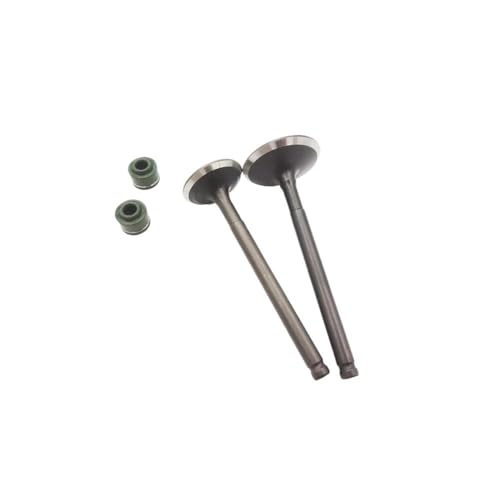 Universelle Motoreinlass- und Auslassventile mit Dichtungen for Z155 ZS155 155cc Offroad-Motorräder von INSOGZRAF
