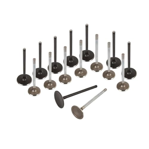 Universeller 16-teiliger Einlass- und Auslassventilsatz for Motorteile for die meisten Modelle von INSOGZRAF
