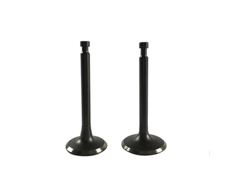 Universelles Ansaug- und Ventil-Set für 168F 170F 5,5PS ~ 7PS, 196cc~212cc (170F 212CC Ventile) von INSOGZRAF