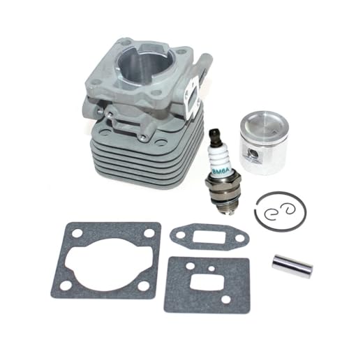 Zylinder Kolben Kit for Mit CG22EADSLP CG22EASSLP CG22EABSLP CG22EAB CG22EAD CG22EAS TCG-22EAB TCG-22EAS Universal von INSOGZRAF