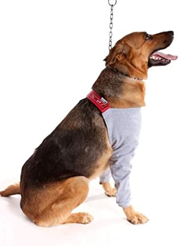 INSTR-FUN 926705004D Extremer Schutz vor DRY CONFORT T4 1 Stück PETMED, Kunststoff von INSTR-FUN