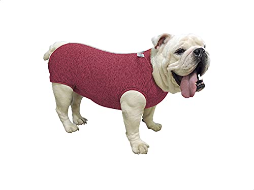 INSTR-FUN 926720003 BODY REGULAR POST-QUIRURGICO BULLDOG INGLES G 1UD PETMED, Kunststoff von INSTR-FUN