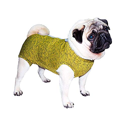 INSTR-FUN 926721002 BODY REGULAR POST-QUIRURGICO CARLINO M 1UD PETMED, Kunststoff von INSTR-FUN
