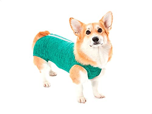 INSTR-FUN 926722006V PETMED ROPA POST QUIRURGICO PERRO DUO DRY T6 VERDE, Kunststoff von INSTR-FUN