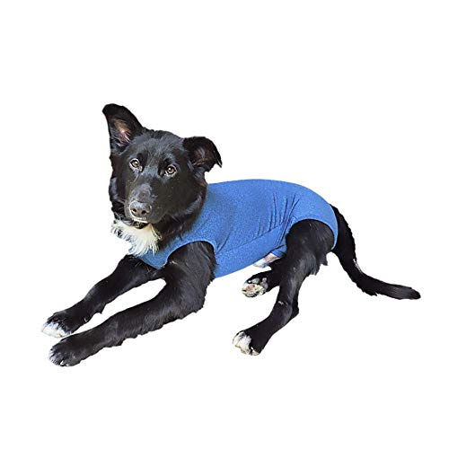 INSTR-FUN 926723007 Body Castration Dry Plus T7 Blau, 1 Stück, PETMED, Kunststoff von INSTR-FUN