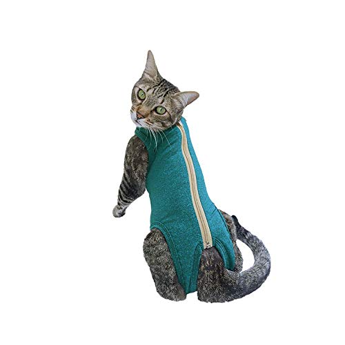 INSTR-FUN 926724001V Body, Dry Comfort Post-Chirurgic Katze, T1, Grün, 1 Stück, Kunststoff von INSTR-FUN
